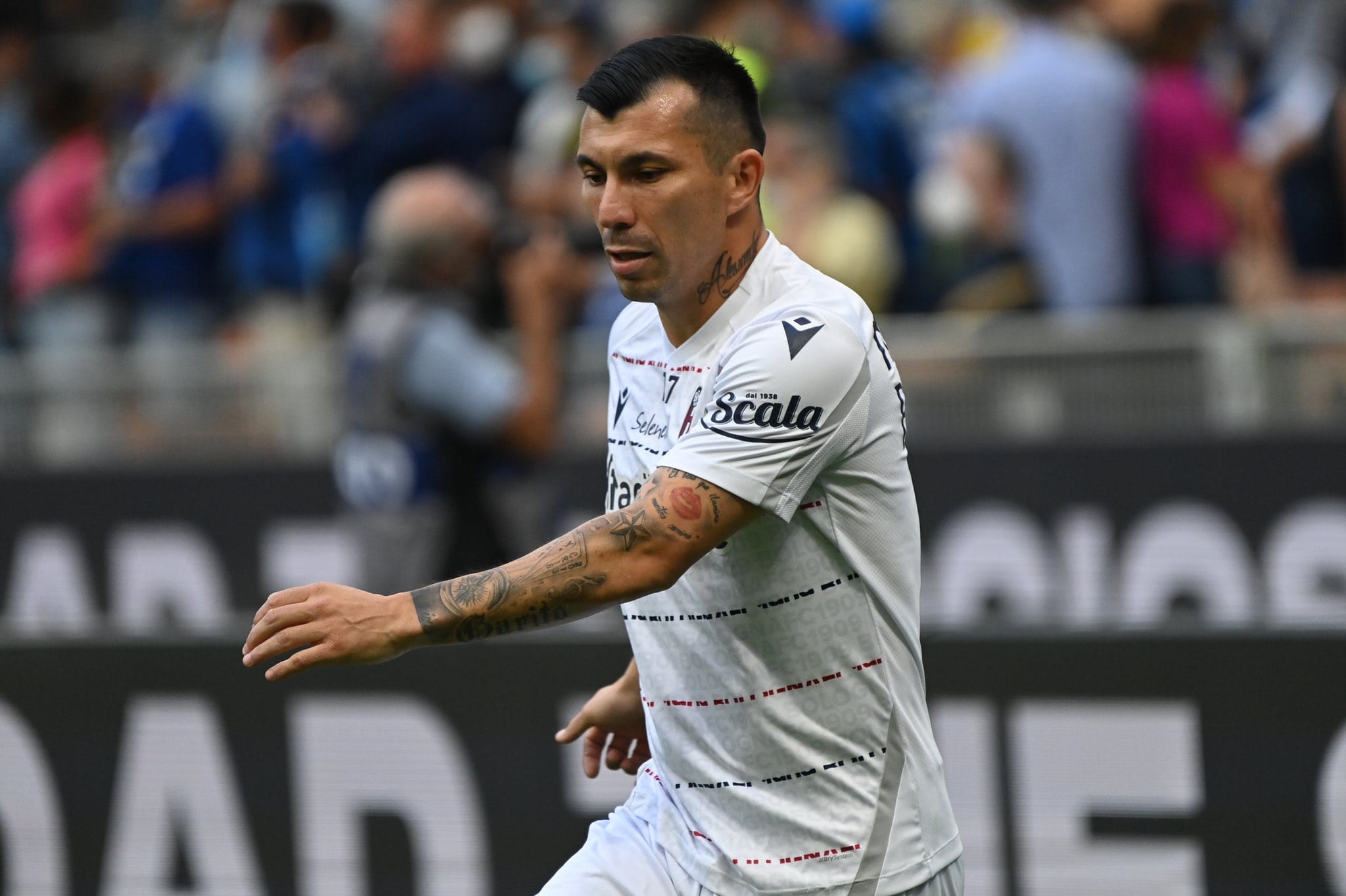 Gary Medel no suma minutos en el Bologna y en Italia aseguran que saldría de la Serie A