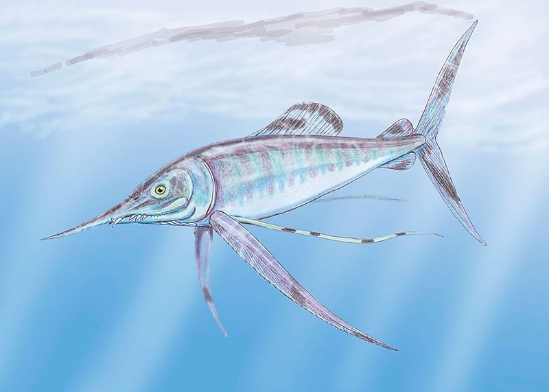 Encontraron fósiles de peces de la época de los dinosaurios
