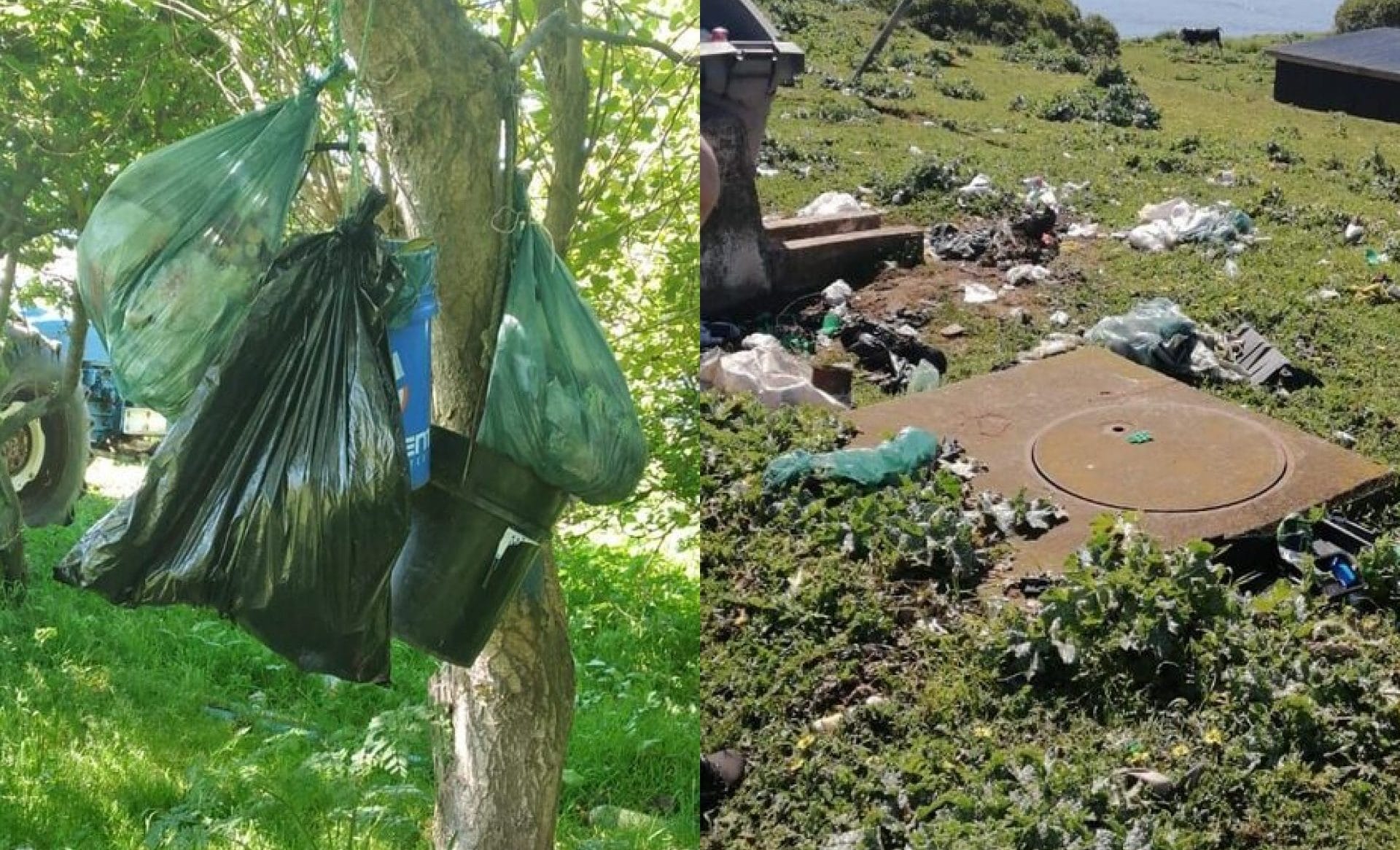 Vecinos de Isla Santa María denuncian grave crisis sanitaria por basura ante ausencia de barcaza