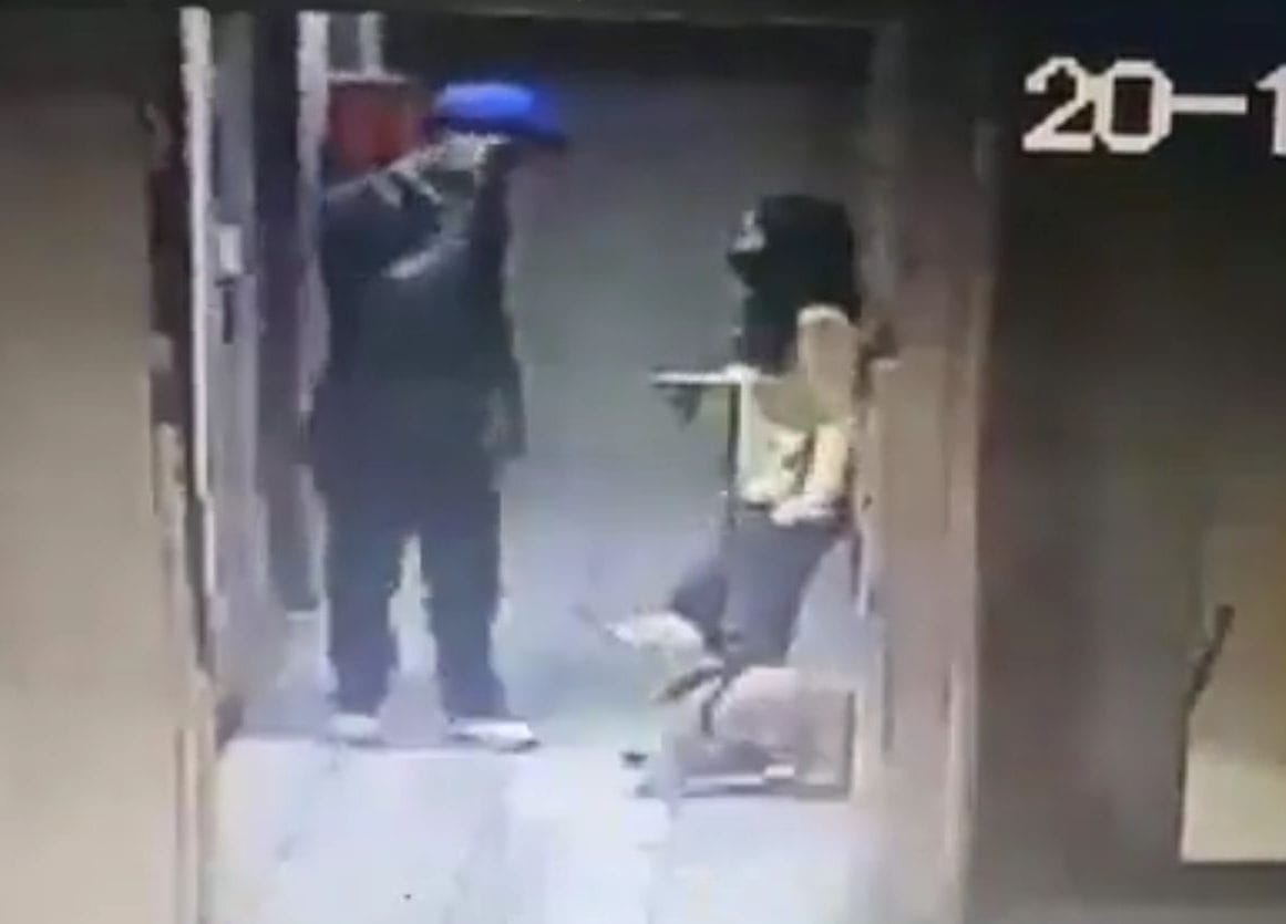 Sujeto mató de una patada a perro guía de mujer no vidente