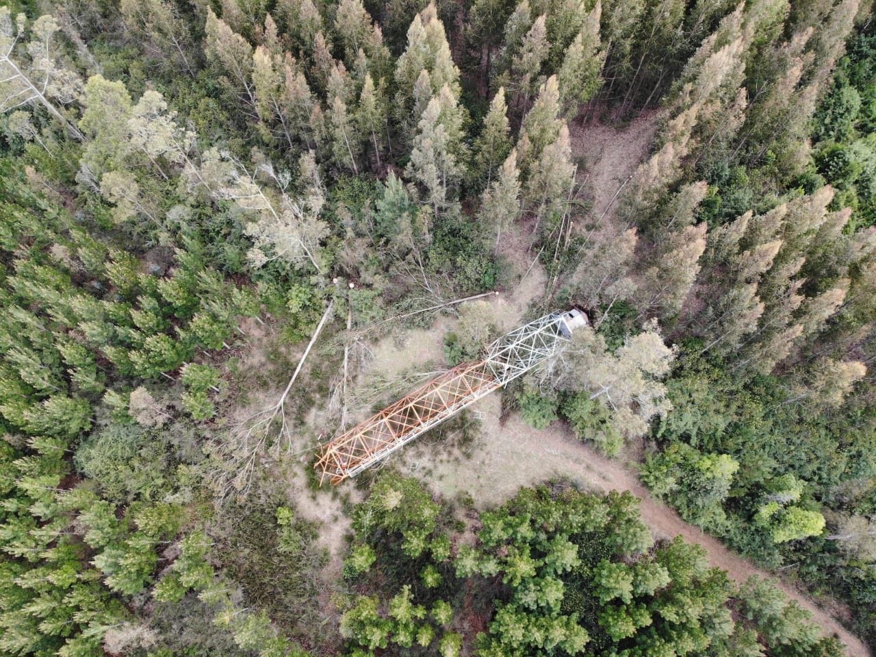 Derriban torre de vigilancia para la prevención de incendios forestales en Contulmo