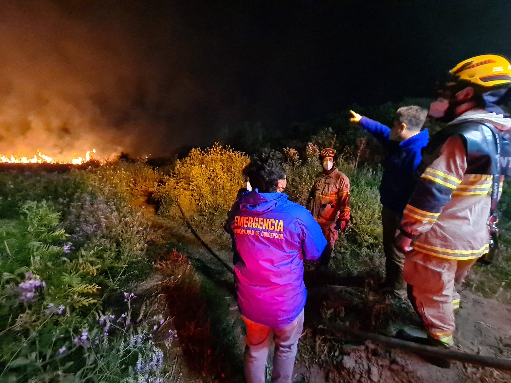Origen del fuego en humedal Paicaví en Concepción será materia de investigación