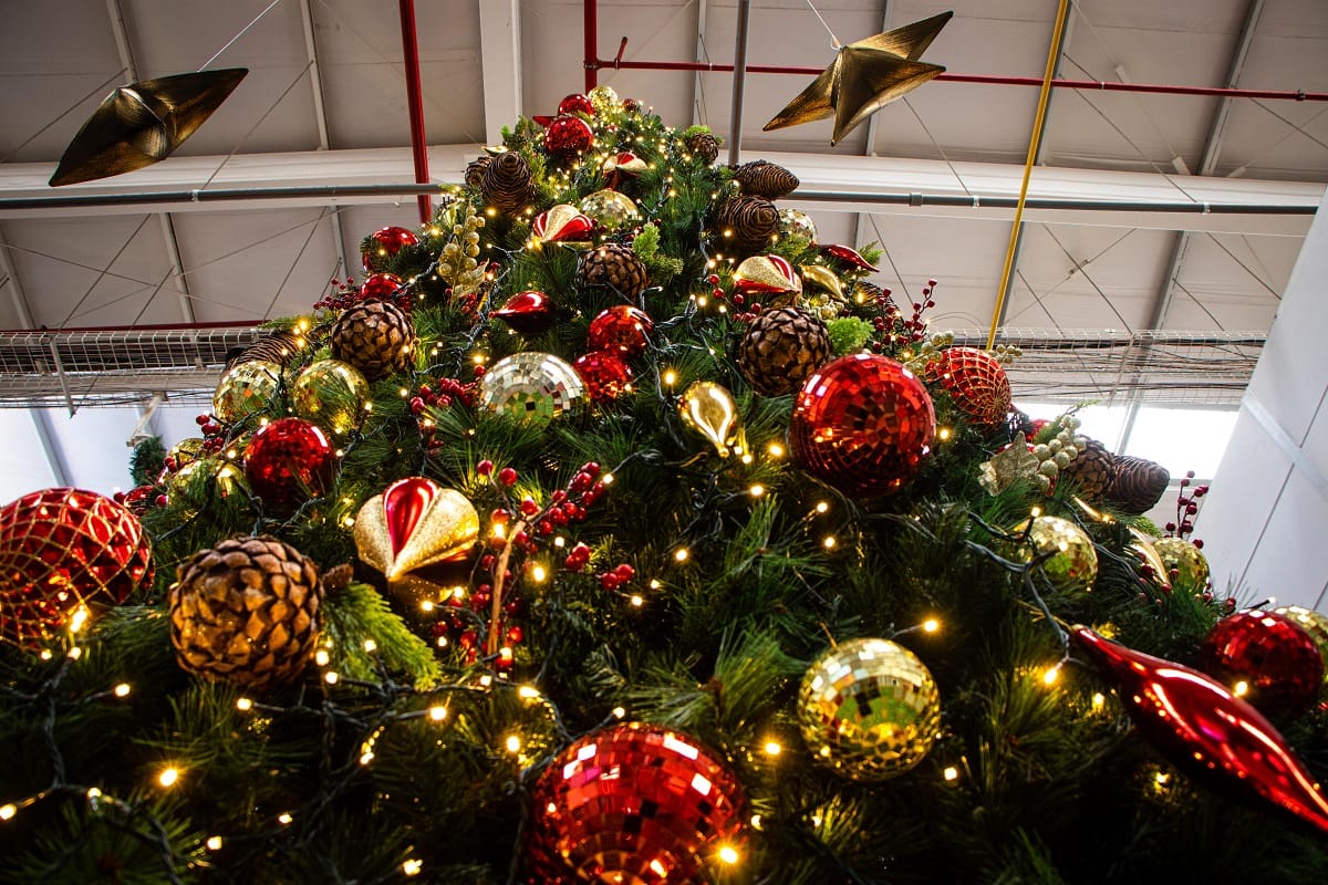 Gran árbol de Navidad encanta a visitantes del Centro Comercial de Vega Monumental: Estará el Viejito Pascuero