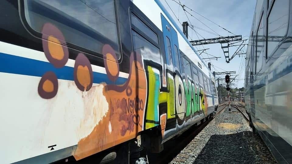 EFE Sur por rayado a nuevos trenes del Biotrén: “Son bandas organizadas”