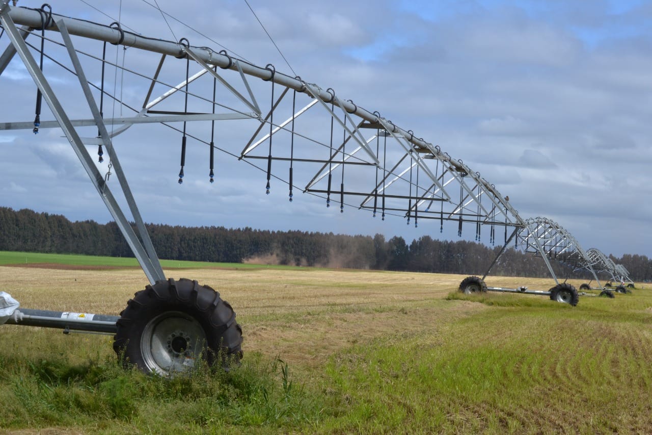 Región del Biobío lidera hectáreas regadas con riego tecnificado a nivel nacional