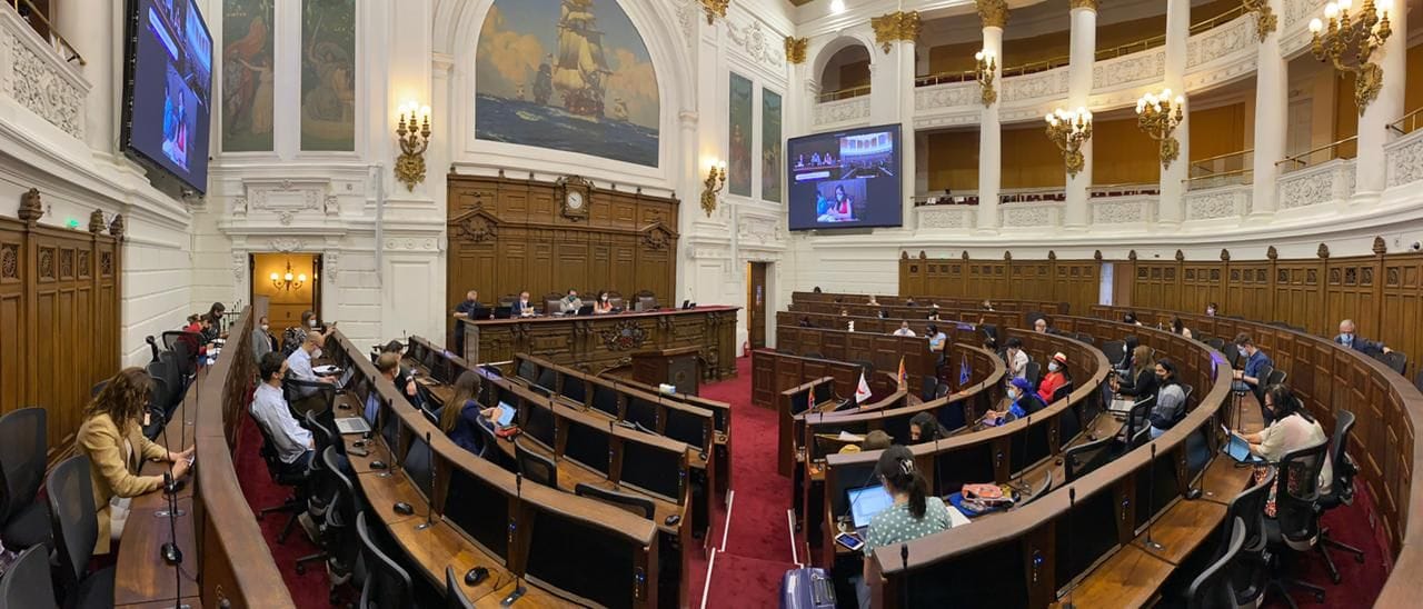 La Convención: El invitado “cacho”