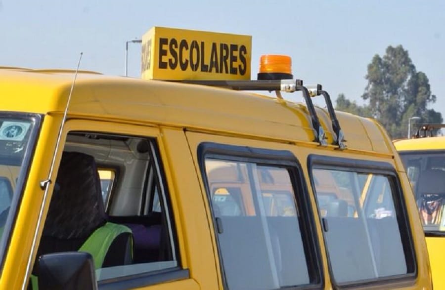 Sujetos amenazaron a niños y a su profesor para robar furgón escolar en Tirúa