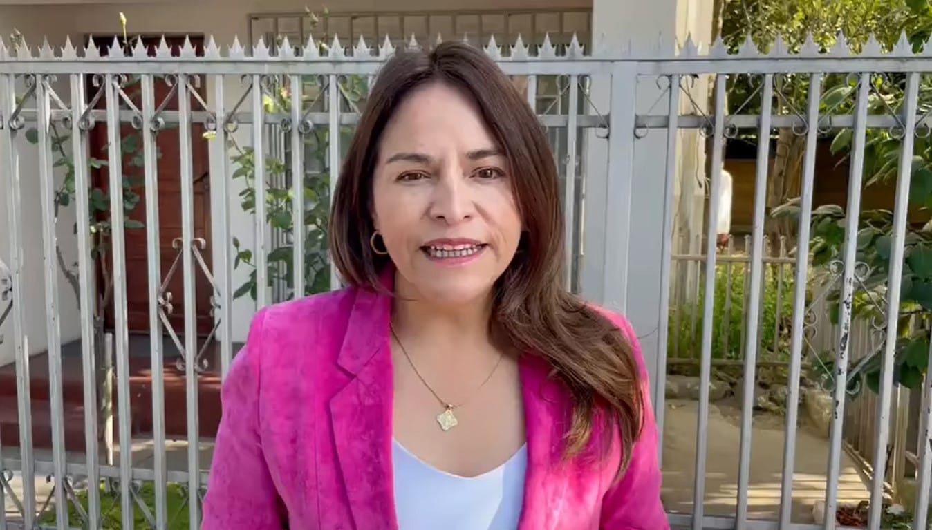 Diputada Joanna Pérez y renuncia de Roberto Coloma: “El Gobierno fracasó”