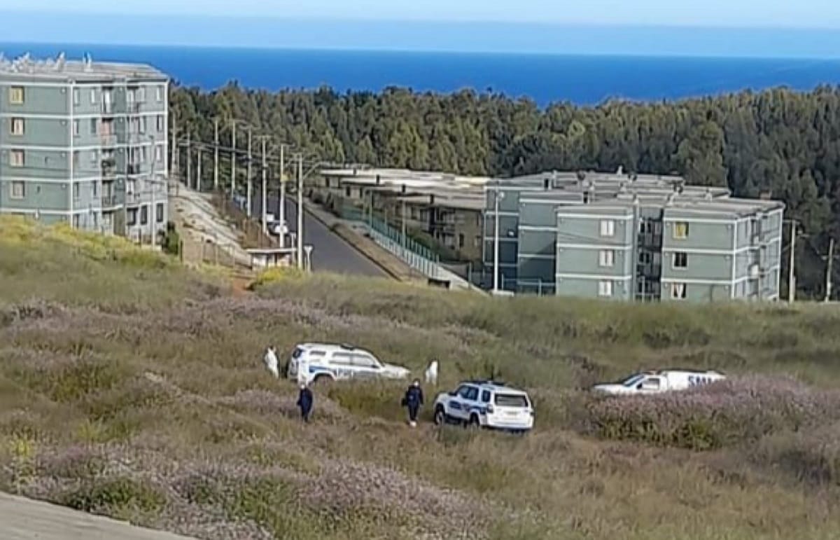 Conmoción en Talcahuano: Hallan cuerpo calcinado en cerro Centinela