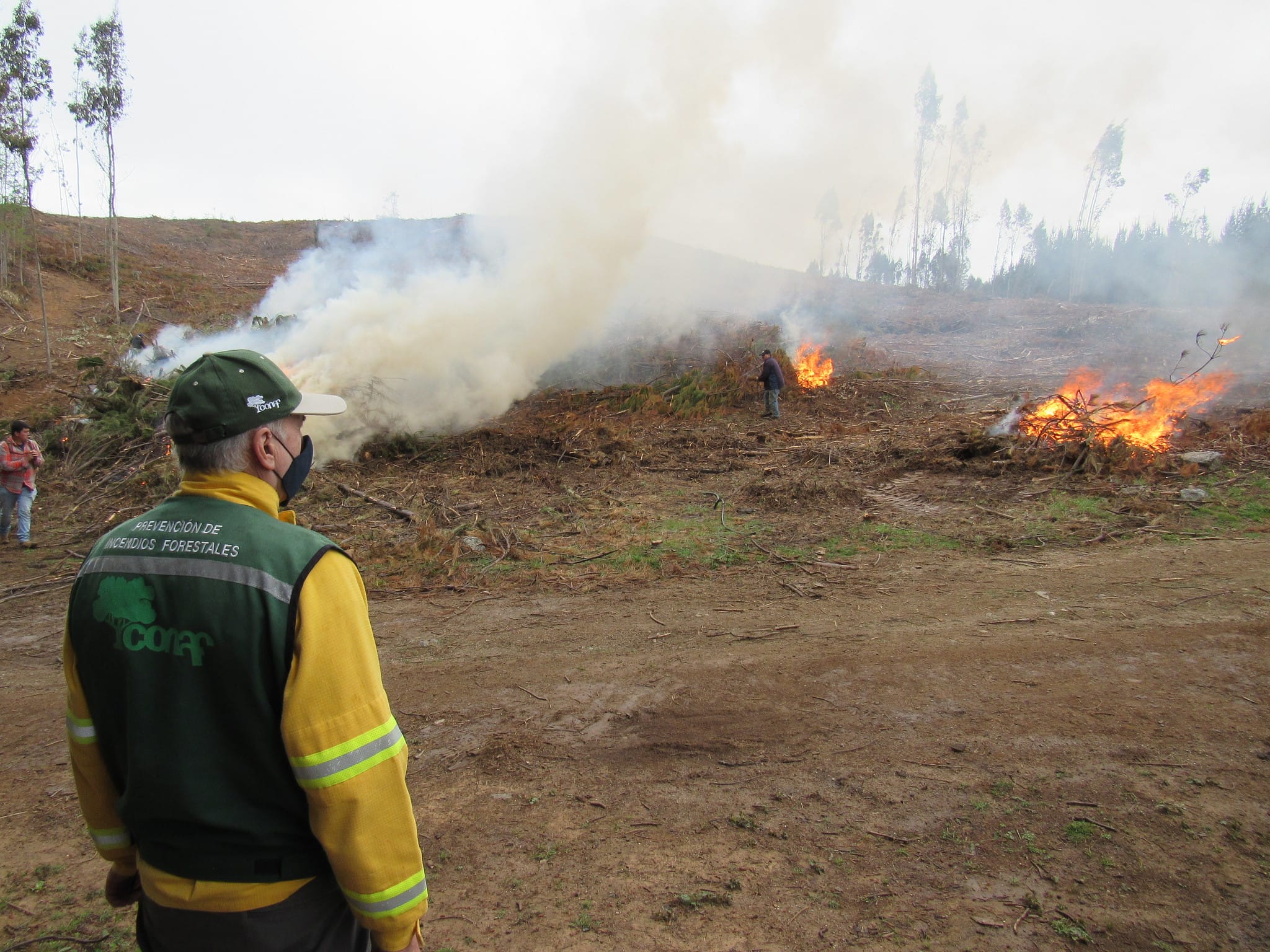 Conaf suspende quemas agrícolas y forestales en toda la Región del Biobío