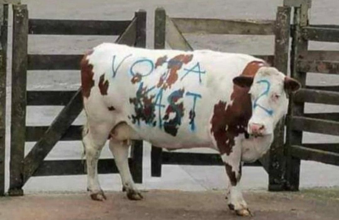 Indignación causa vaca rayada con propaganda de Kast