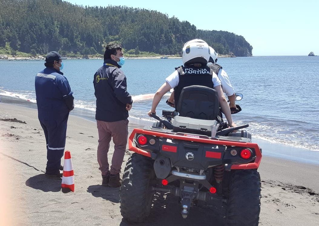 Ballena vuelve a varar, ahora muerta, en Caleta Lenga