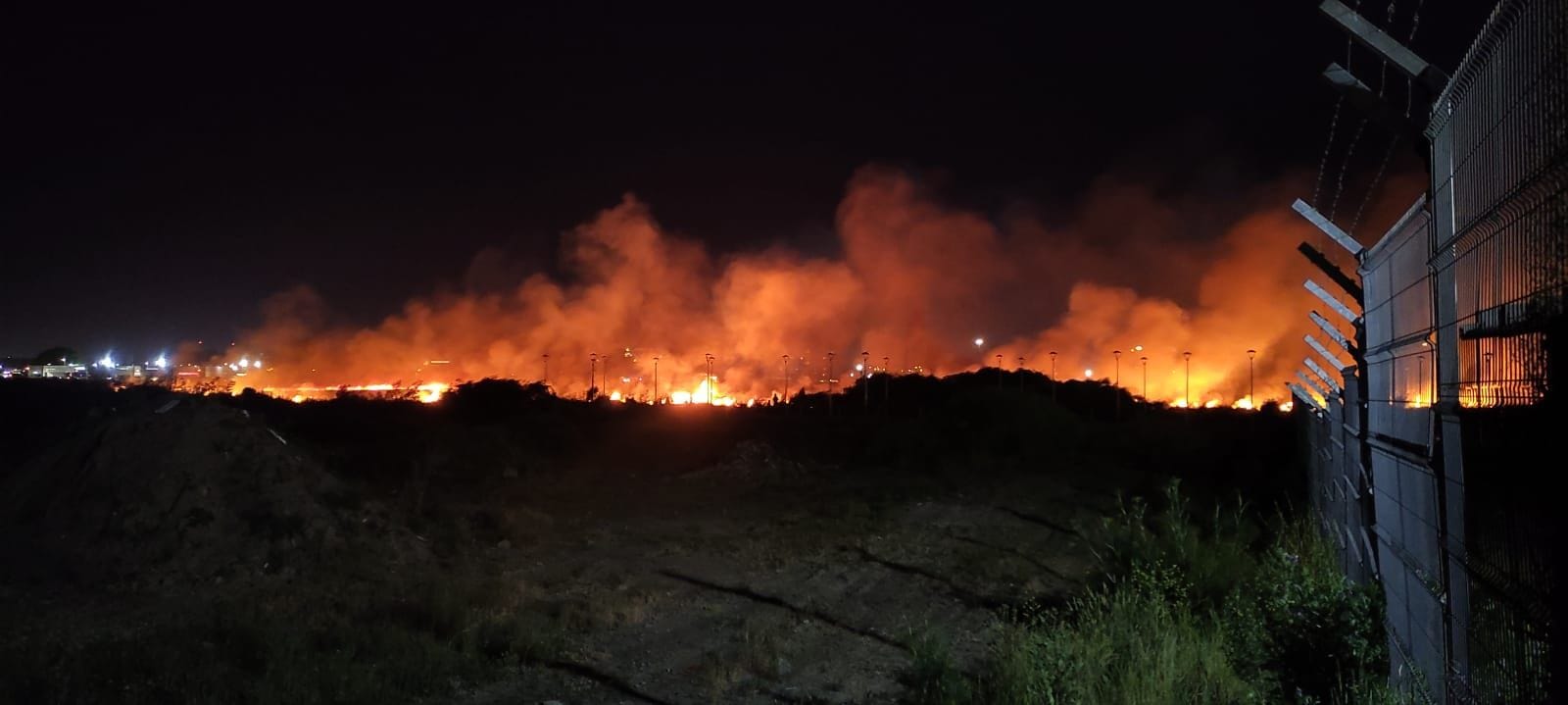 Investigan incendio de humedal Paicaví: no descartan que fuera por una bengala