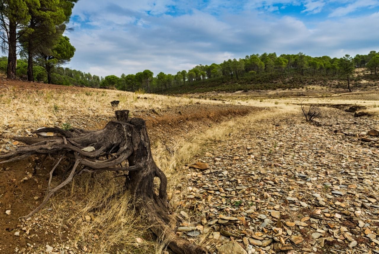 Proyecto FIC UdeC busca salvar microcuencas del Biobío de efectos del cambio climático