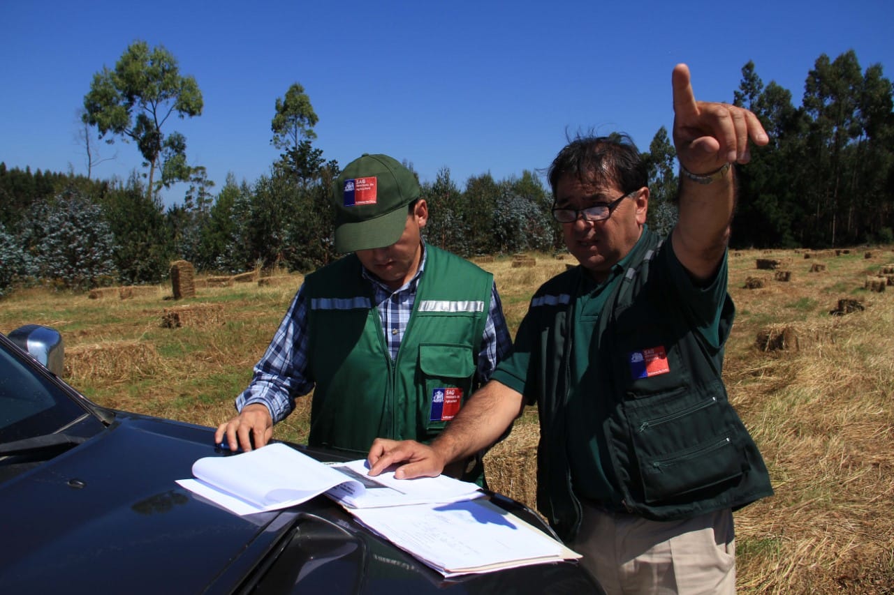 Llaman a agricultores a postular a concursos para recuperación productiva de suelos en Biobío