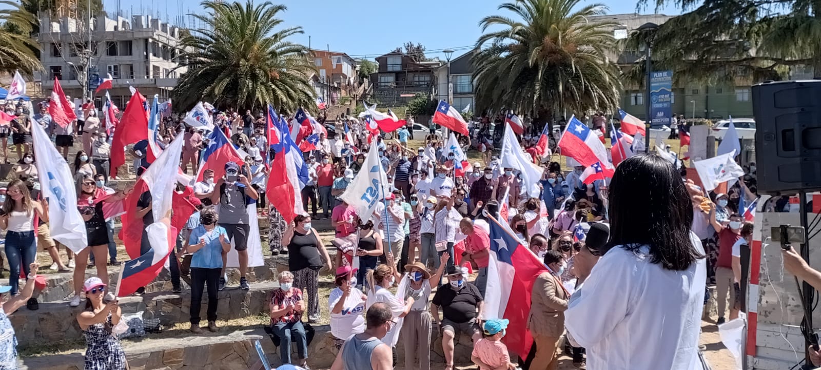 Parlamentarios del Biobío lideraron masivo banderazo por José Antonio Kast en Concepción
