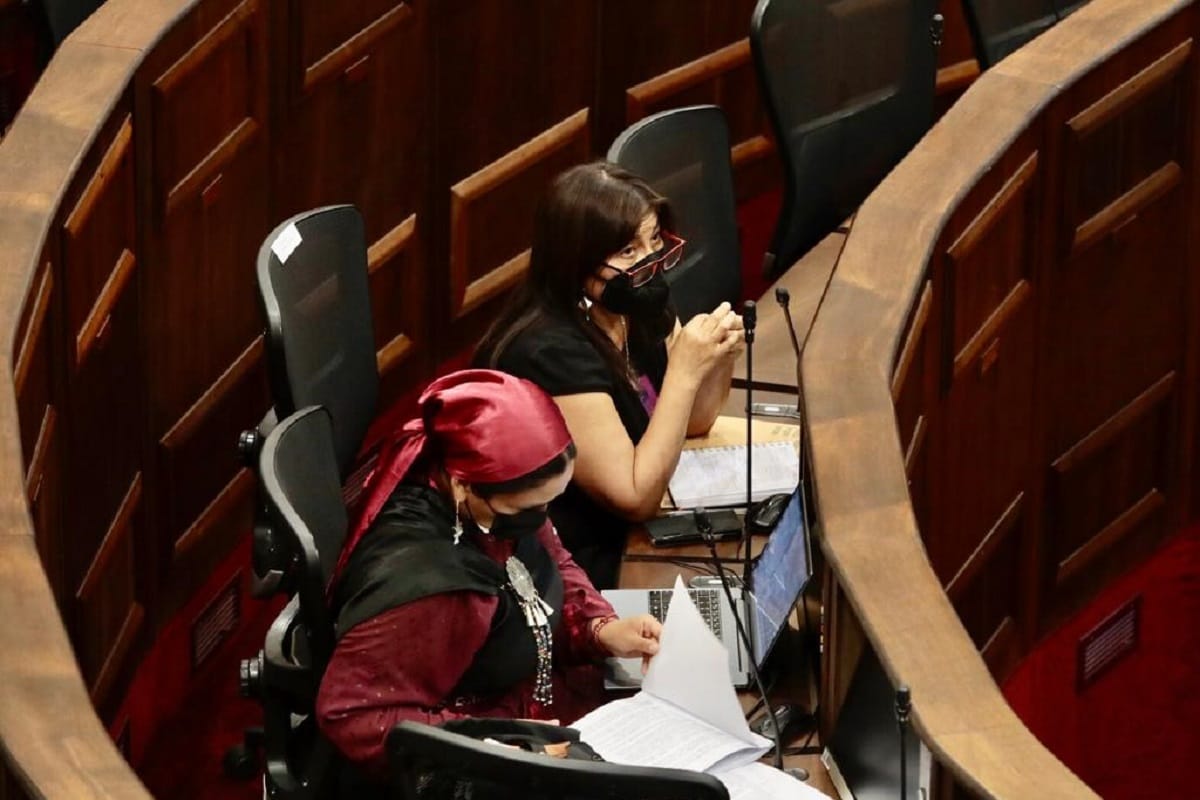 Una convencional de Concepción surge como eventual reemplazante de Elisa Loncon