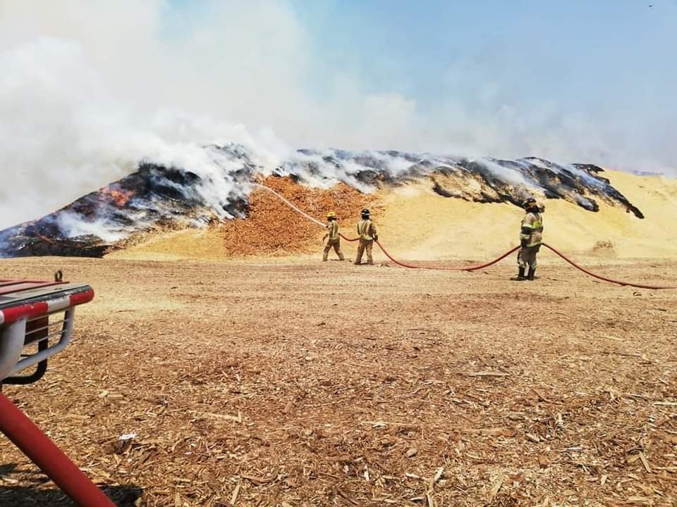 Controlan incendio de biomasa y pastizales en Planta Masisa de Cabrero