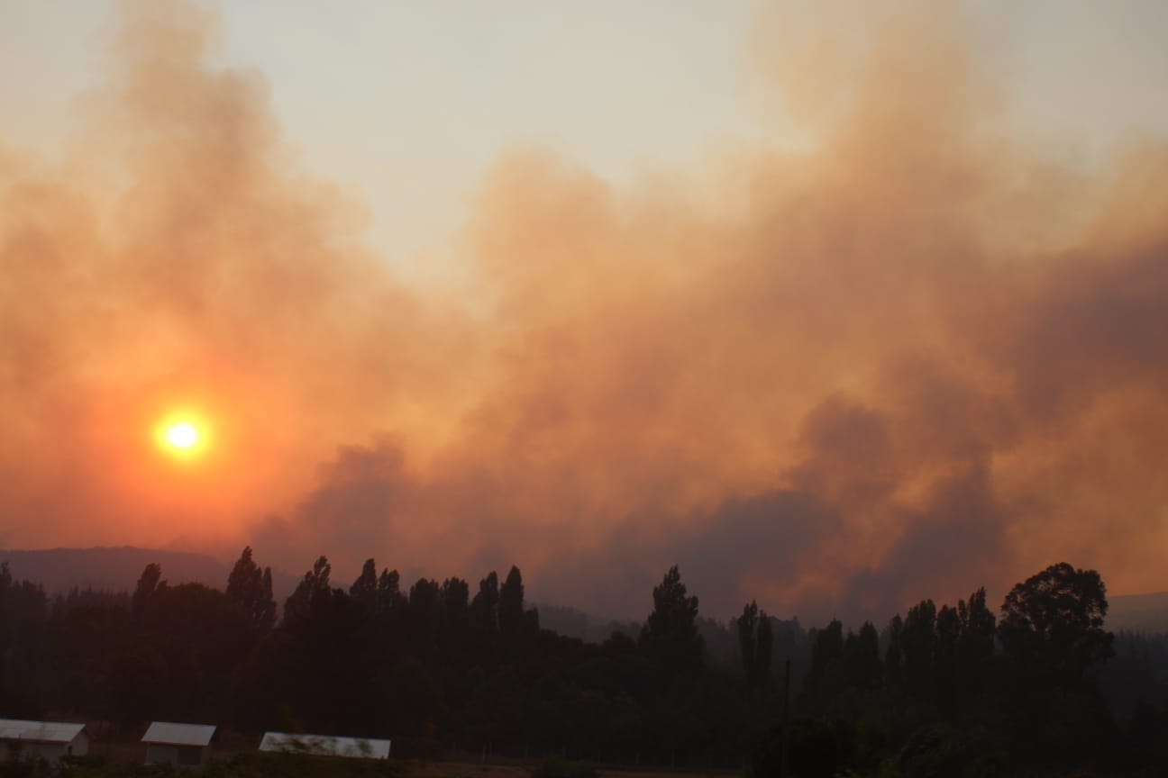 Aumenta a 1.600 las hectáreas afectadas y tres casas quemadas por incendios en Quillón