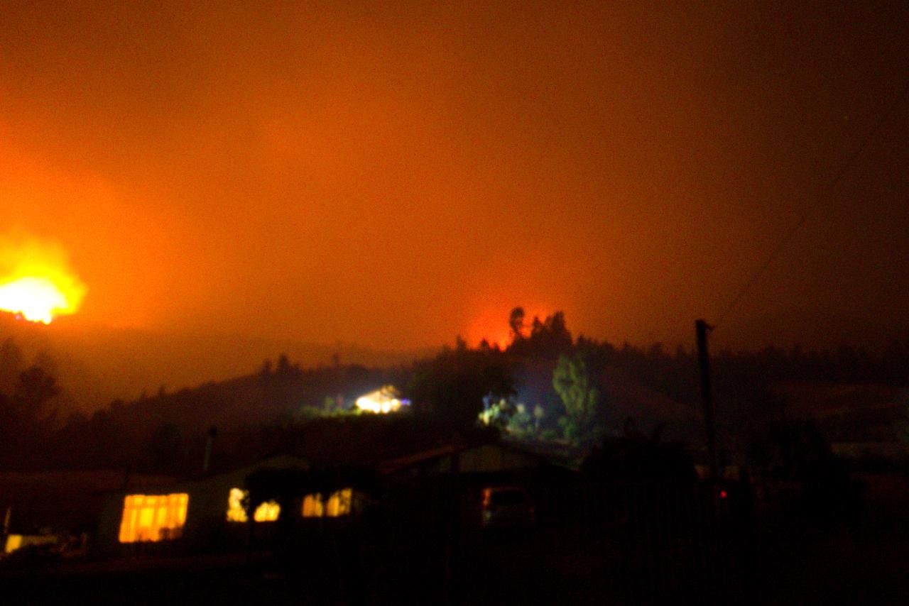 Más de 1.400 hectáreas ha consumido incendio forestal en Quillón