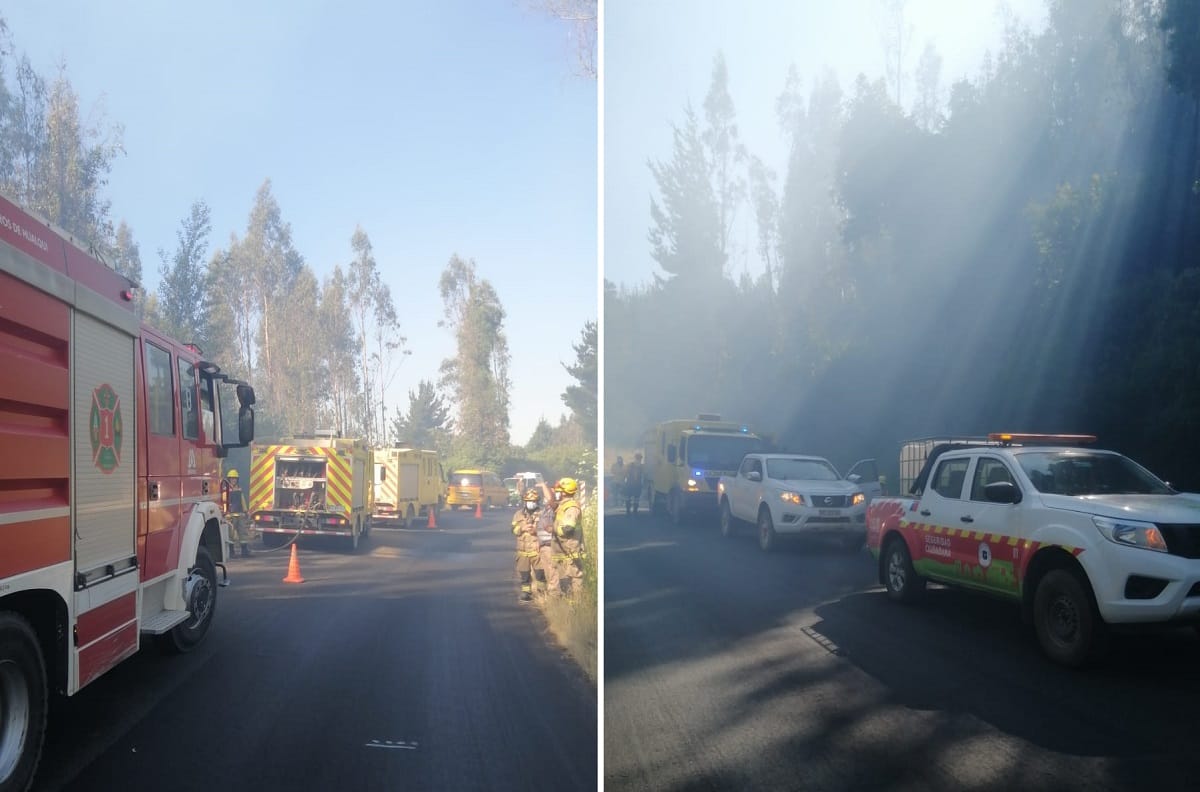 Brigadistas y bomberos combaten incendio forestal en Hualqui