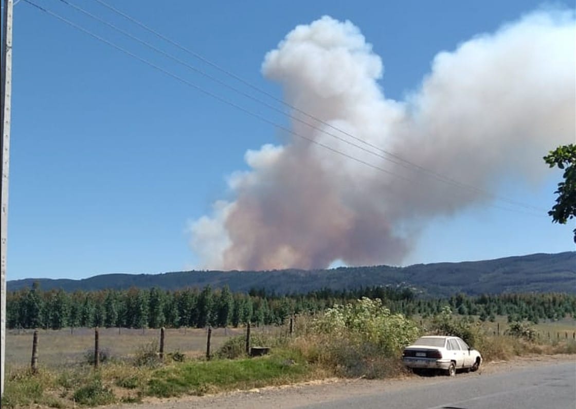 Logran controlar incendio en Nacimiento: Afectó más de 190 hectáreas