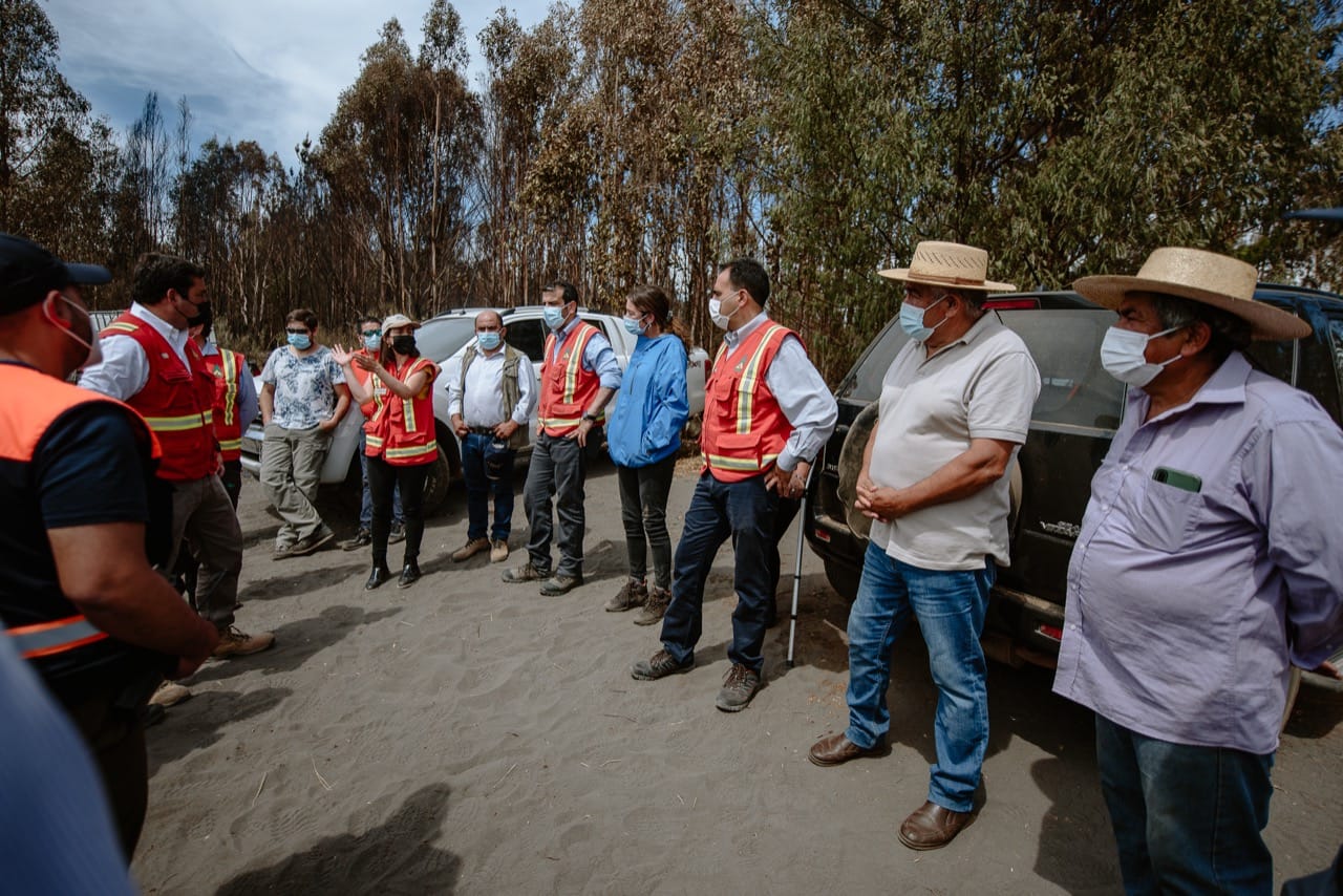 Decretan zona de emergencia agrícola por incendios forestales en la comuna de Quillón