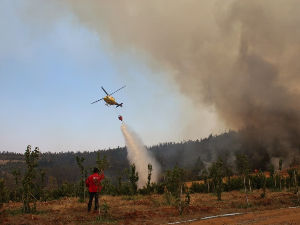 Senador Navarro pide habilitar Carriel Sur para carga de avión Hércules por incendios forestales