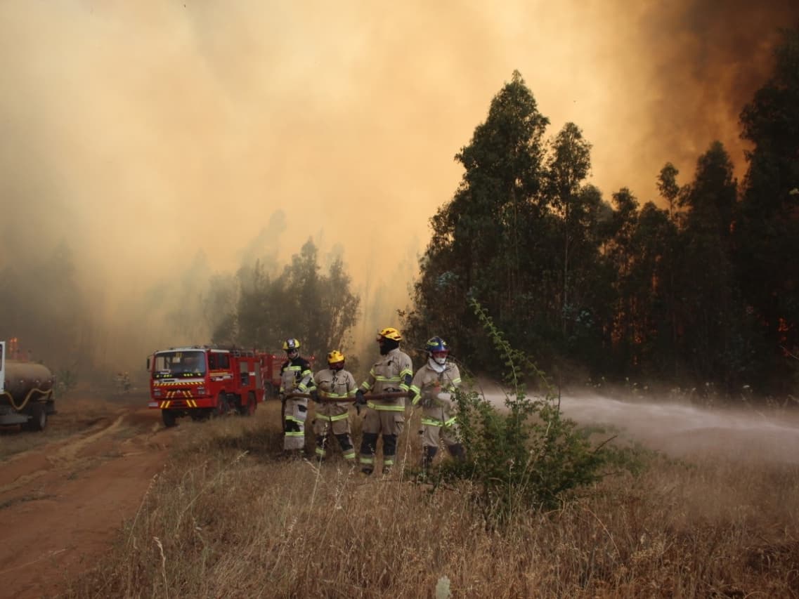 Fiscalía de Ñuble abre investigación por mega incendio forestal en Quillón