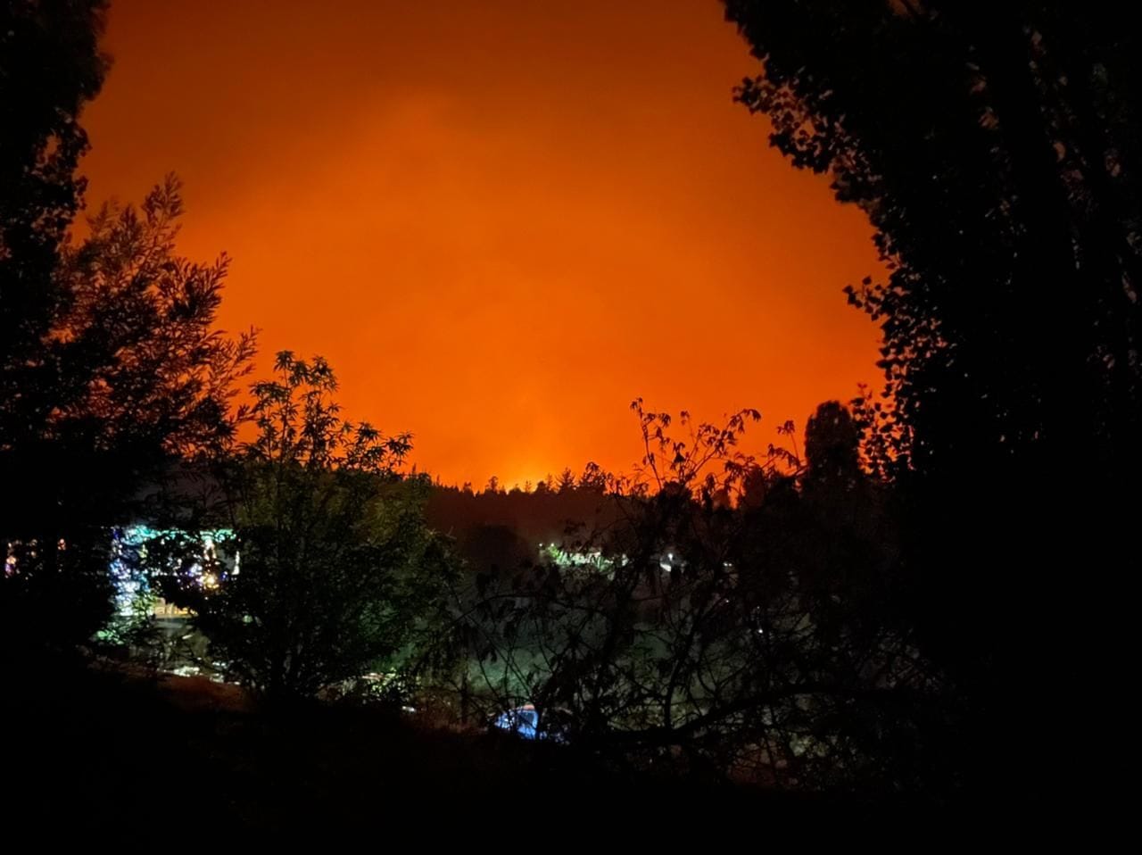 Onemi notificó que se han registrado 43 incendios forestales en el país