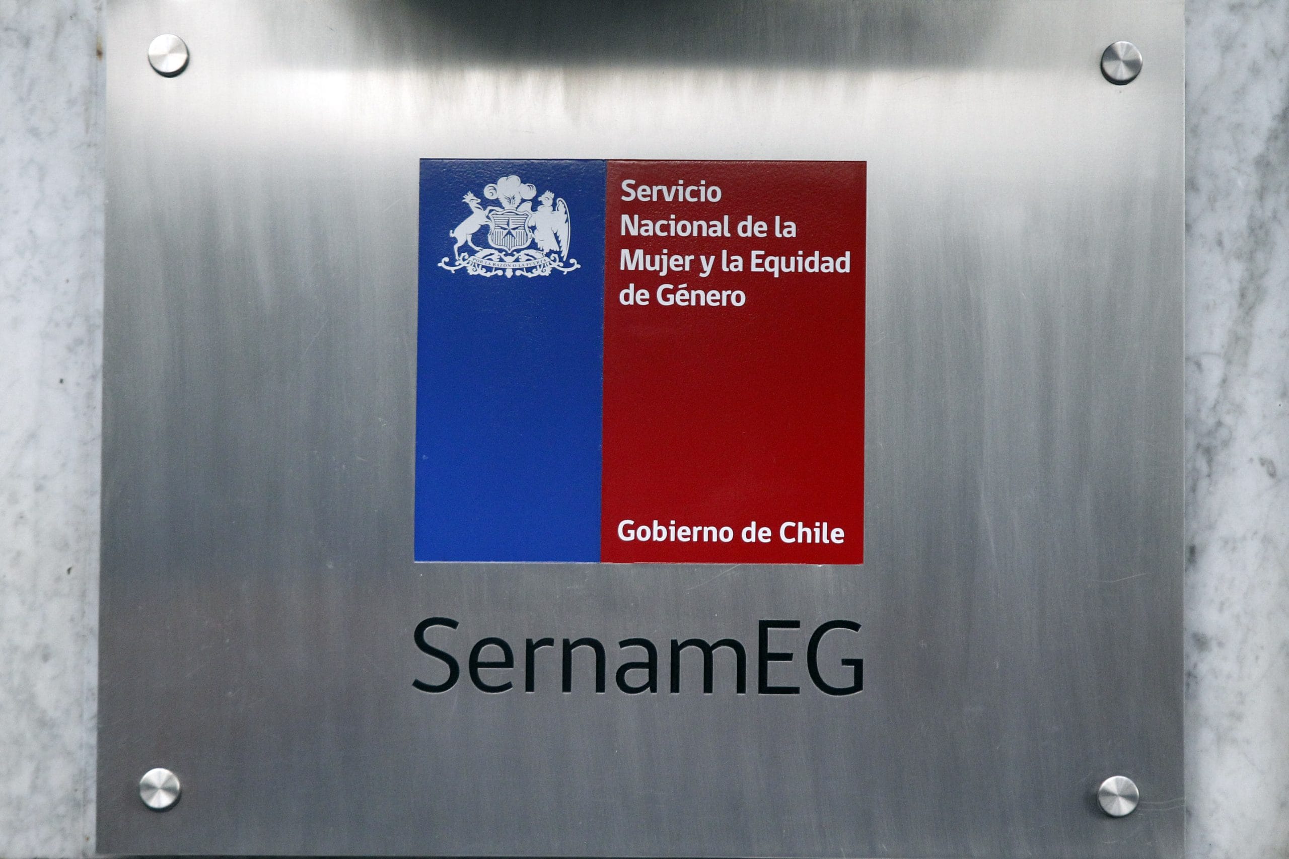 Sernameg Biobío se pronunció tras caso de mujer agredida y abusada por ex pareja