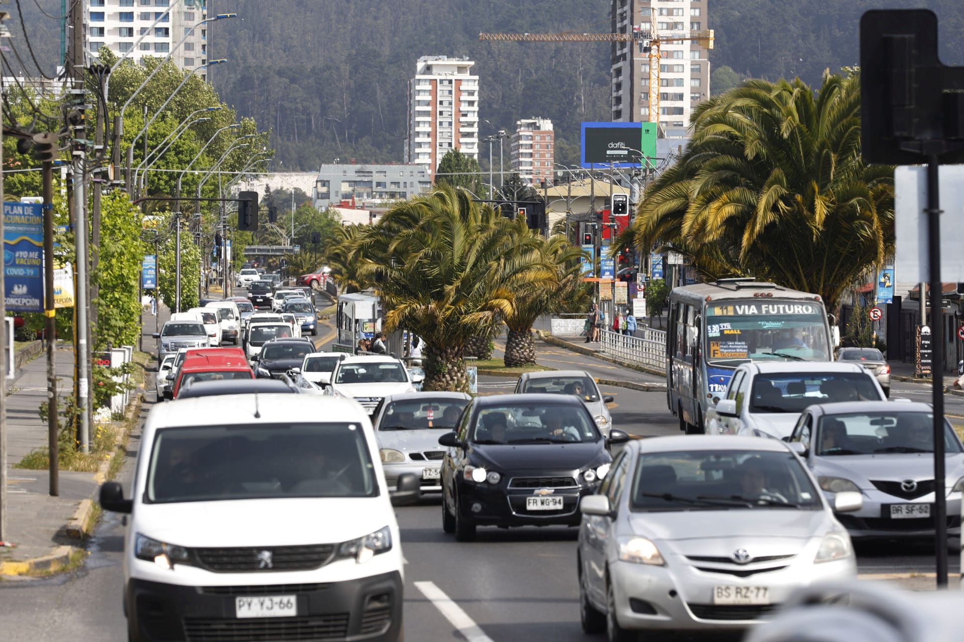 Biobío presentó casi mil nuevos Casos Covid-19: Concepción supera los 500 contagios activos