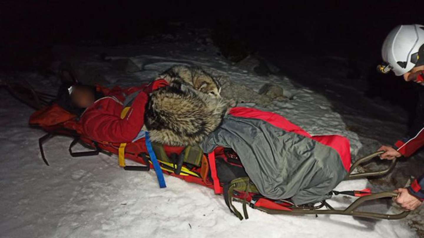 Perro salvó la vida de montañista tras pasar horas recostado encima