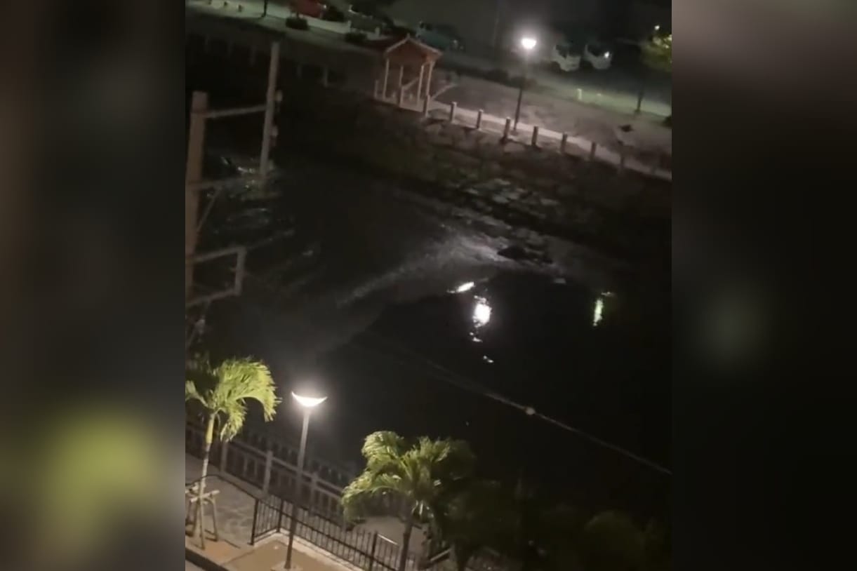 Captan en video impacto de tsunami en Japón