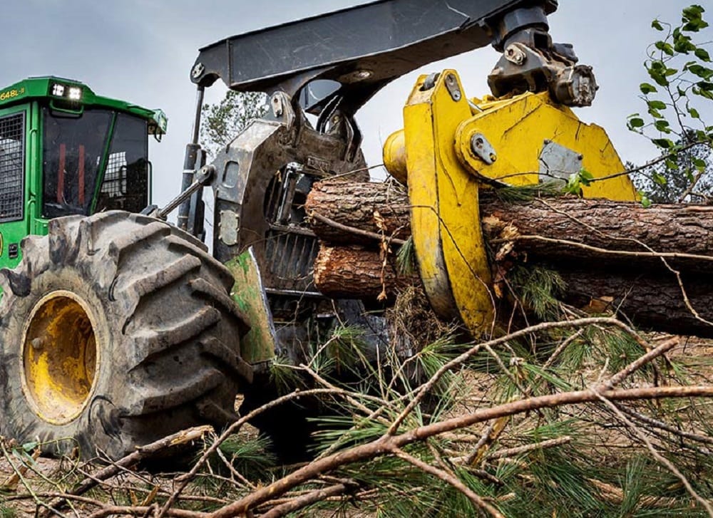 Faena en Cañete donde murió operario es ilegal según forestales: Apuntan a disputa de bandas
