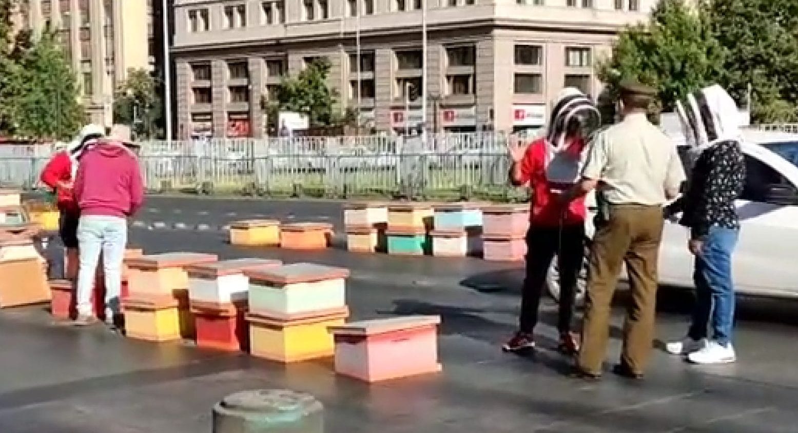 Apicultores dejaron 56 panales de abejas afuera de La Moneda bloqueando la arteria