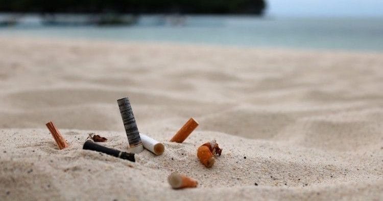 Diputados aprobaron “Chao Colillas”: proyecto que prohíbe fumar en Playas, Ríos y Lagos
