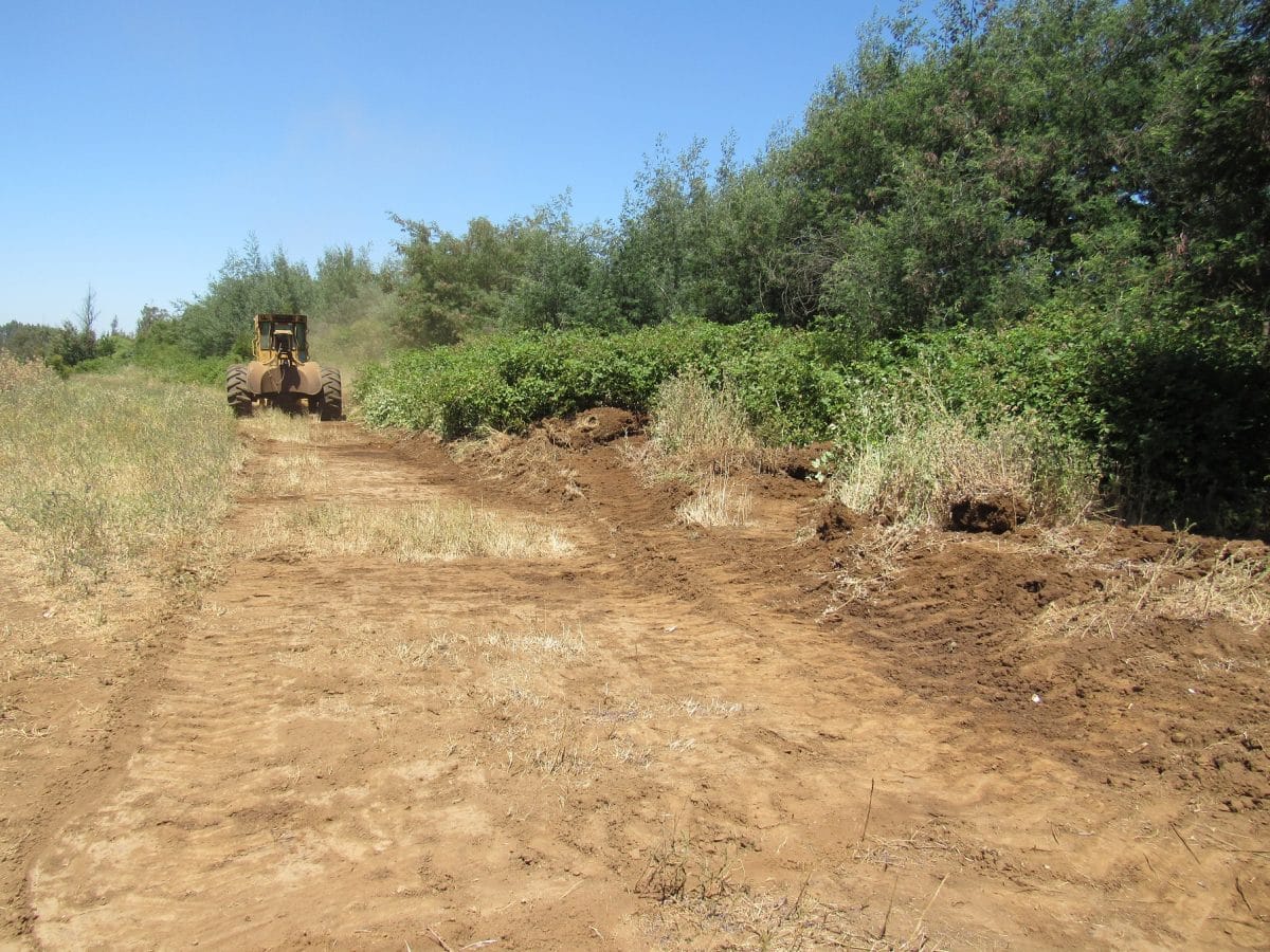 Más de 120 kilómetros de cortafuegos fueron habilitados en la Región del Biobío