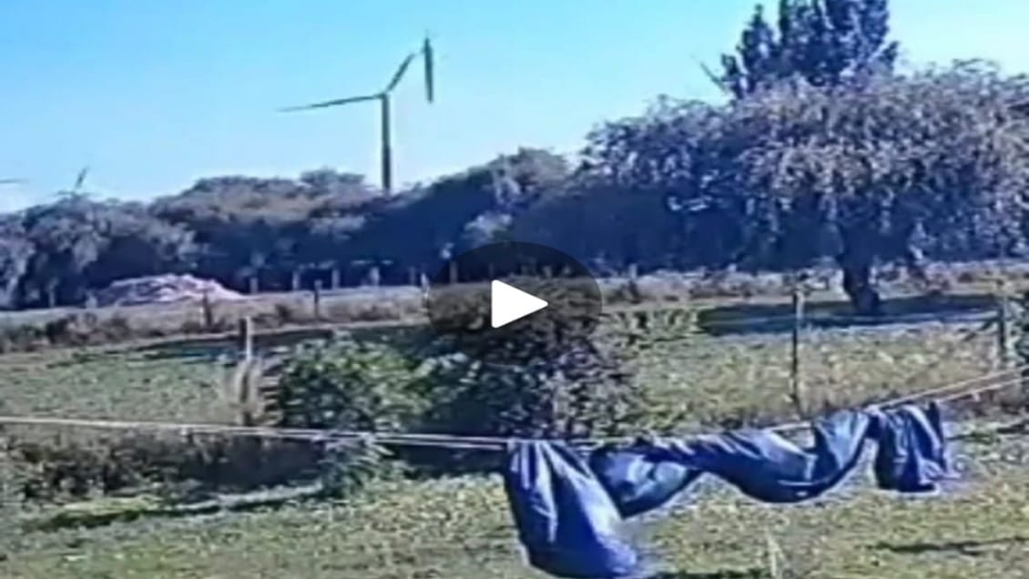 SEC Biobío indaga desprendimiento de aspa en parque eólico de Los Ángeles
