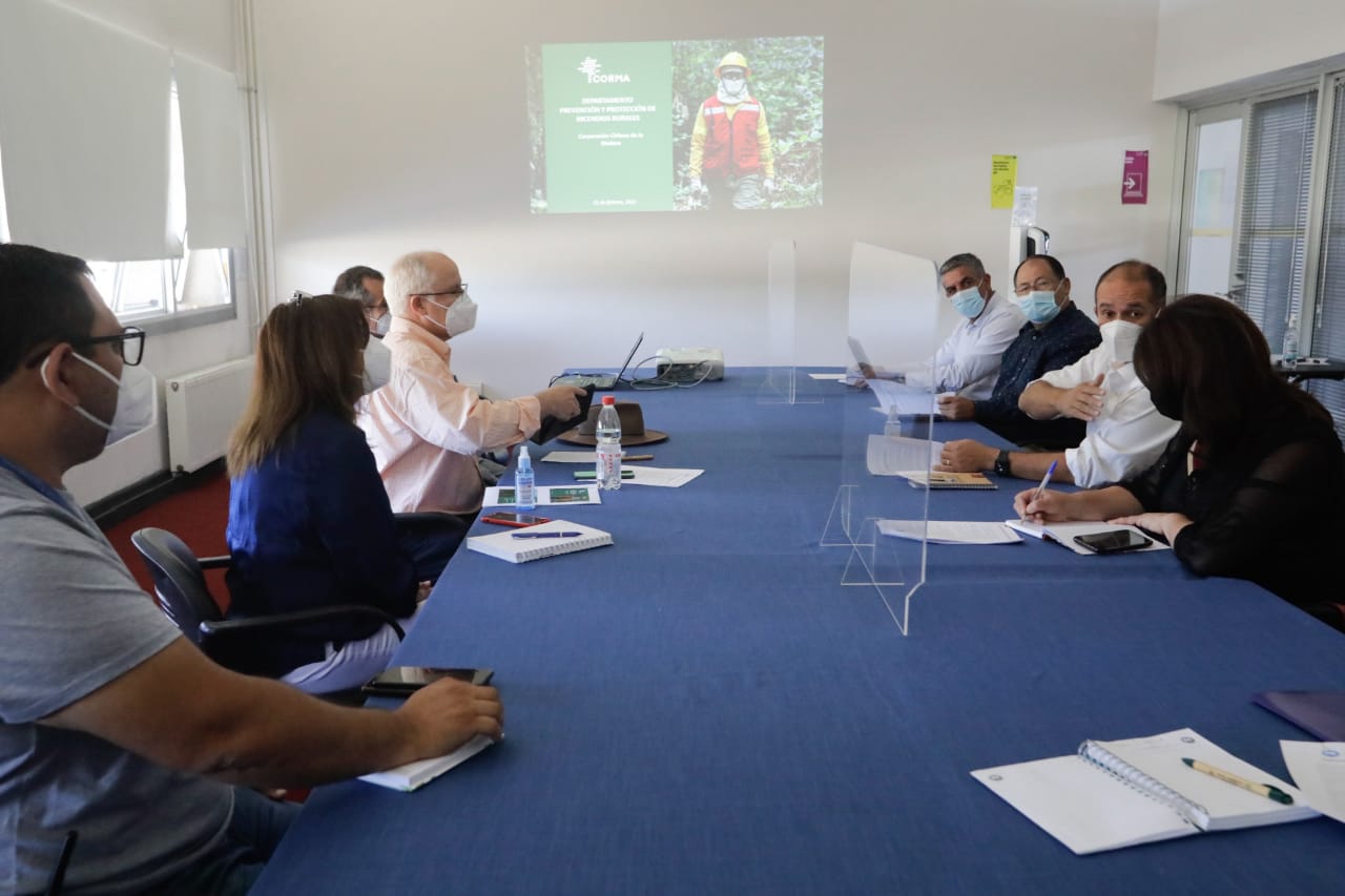 Inician trabajo público-privado para enfrentar de mejor forma los incendios forestales en Biobío