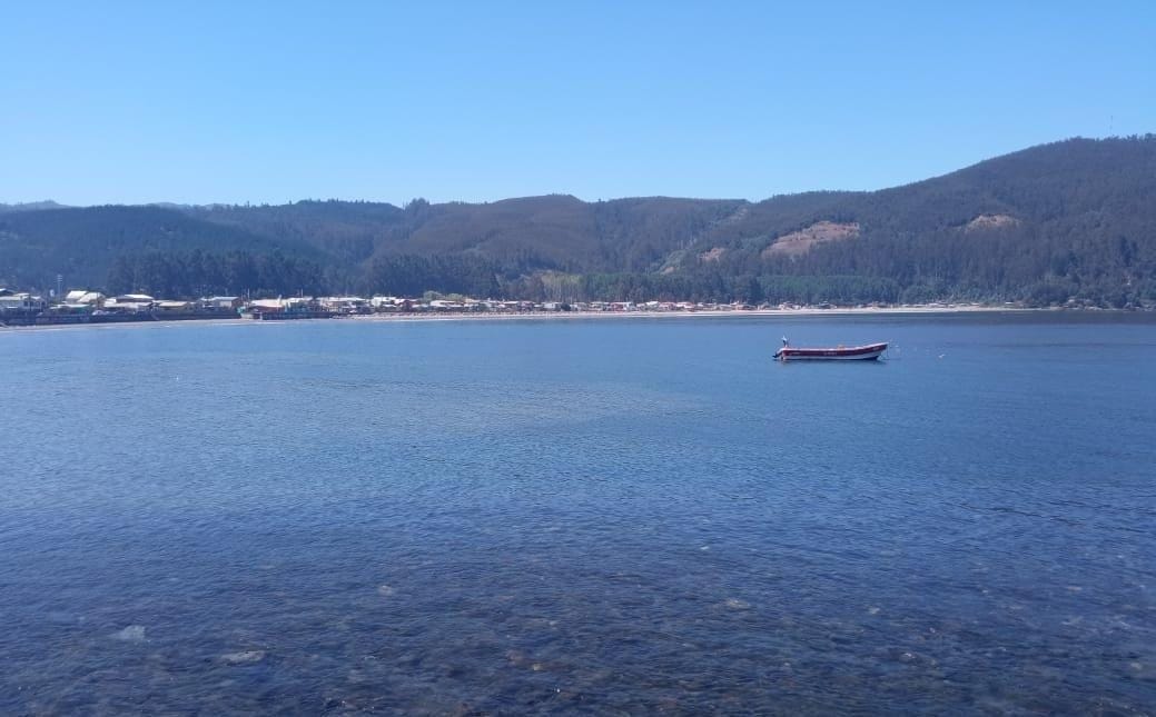 Análisis de Salud determina que color de agua en Golfo de Arauco fue por “floración algal”