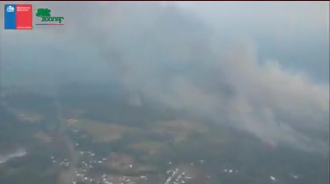 Onemi activa mensaje de evacuación del sector Cuñibal por incendio forestal en Los Ángeles