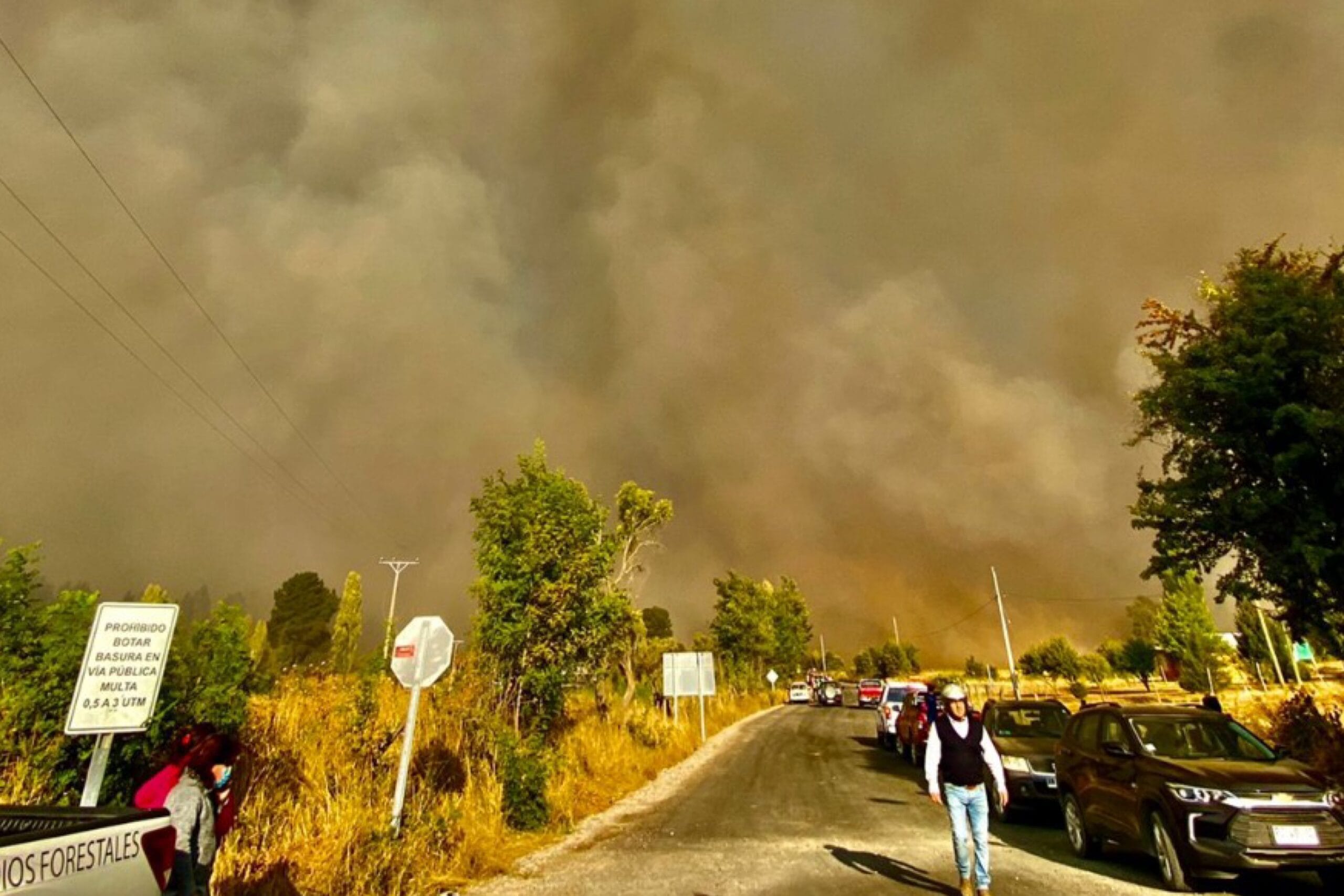 Incendio forestal mantiene con Alerta Roja a El Carmen y Pemuco en Ñuble