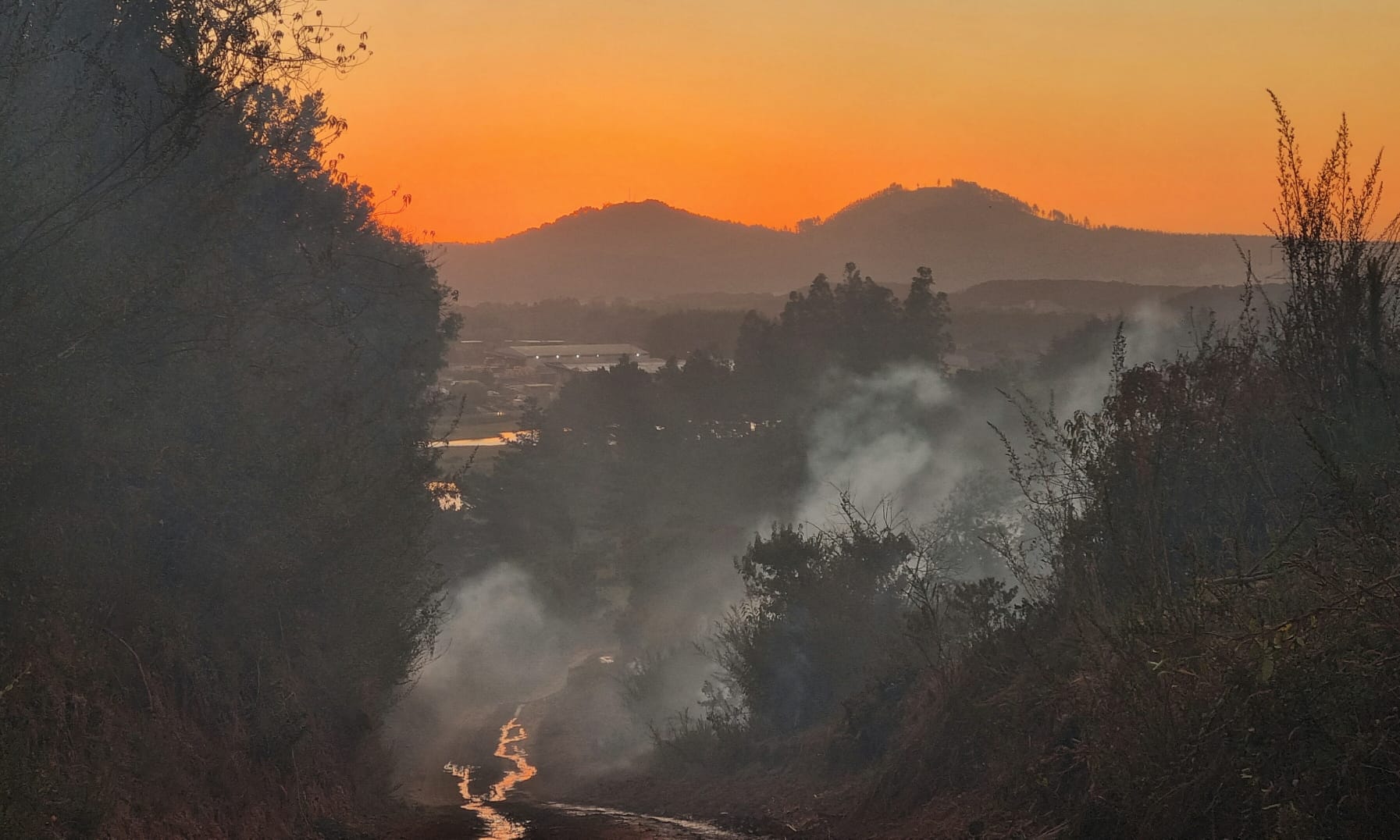 Así quedó el Cerro La U de Talcahuano tras incendio que arrasó gran cantidad de vegetación