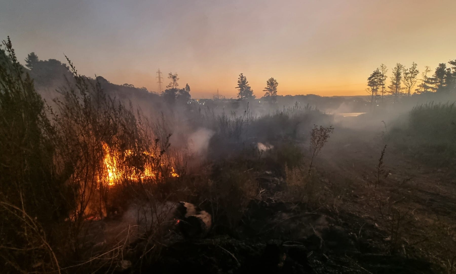 Incendio en Cerro La U de Talcahuano sigue con focos activos: Reportan cerca de 18 hectáreas consumidas