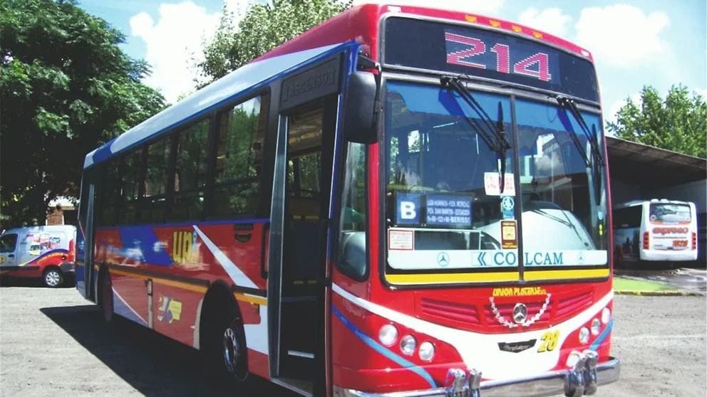 Joven murió tras lanzarse de una micro en movimiento