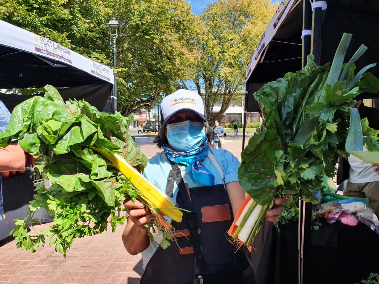 Inauguran en Cañete Mercado Campesino de INDAP