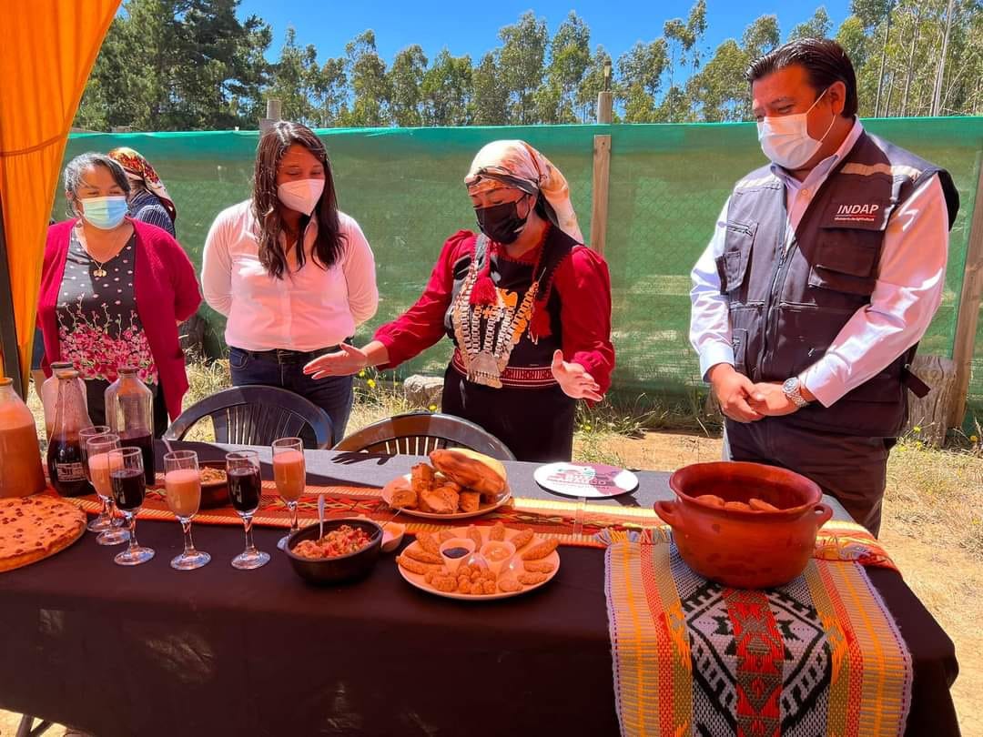 Nueva ruta turística rescata y fortalece el patrimonio cultural de Arauco