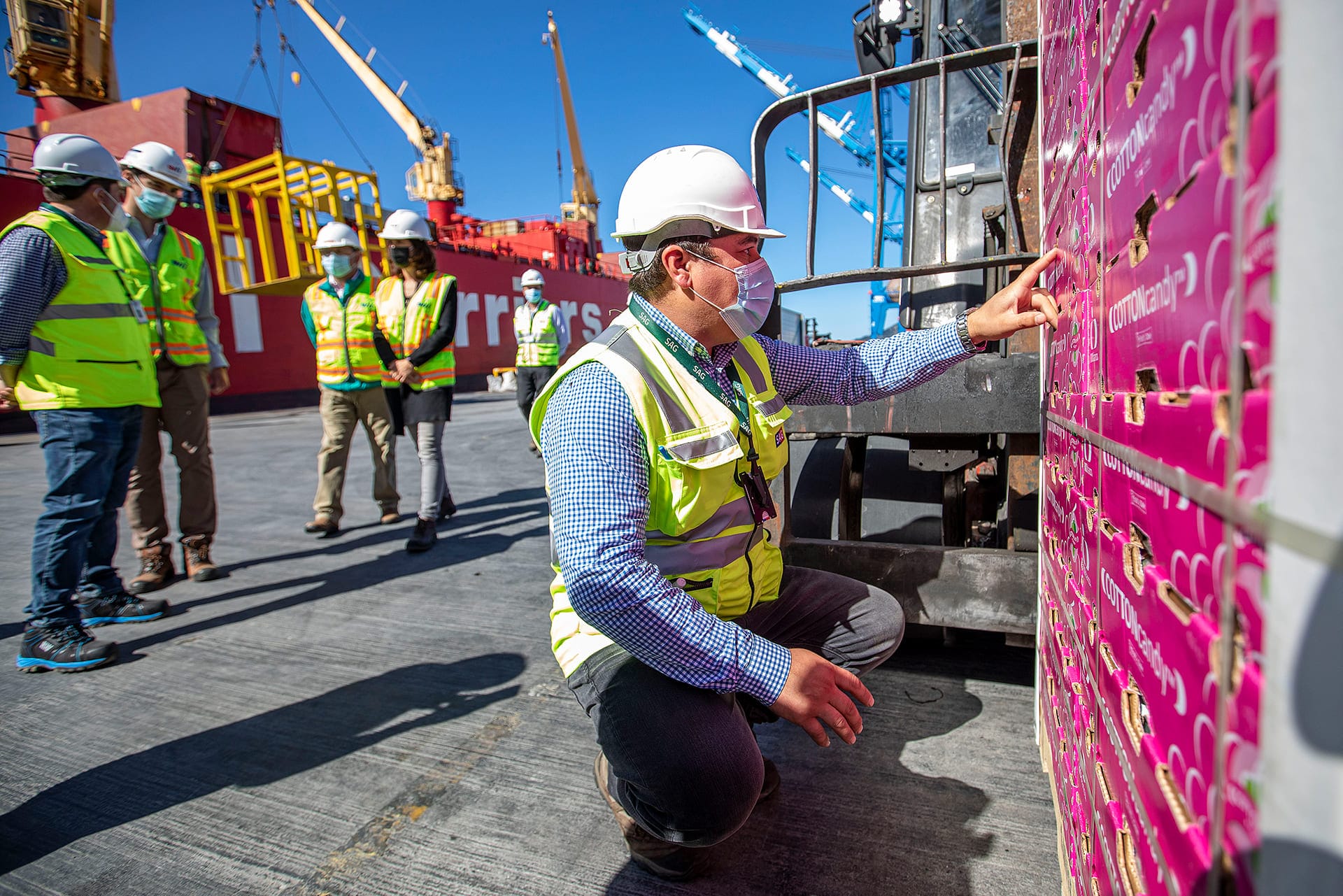 Envían más de 9 mil pallets de fruta fresca a Estados Unidos desde Talcahuano