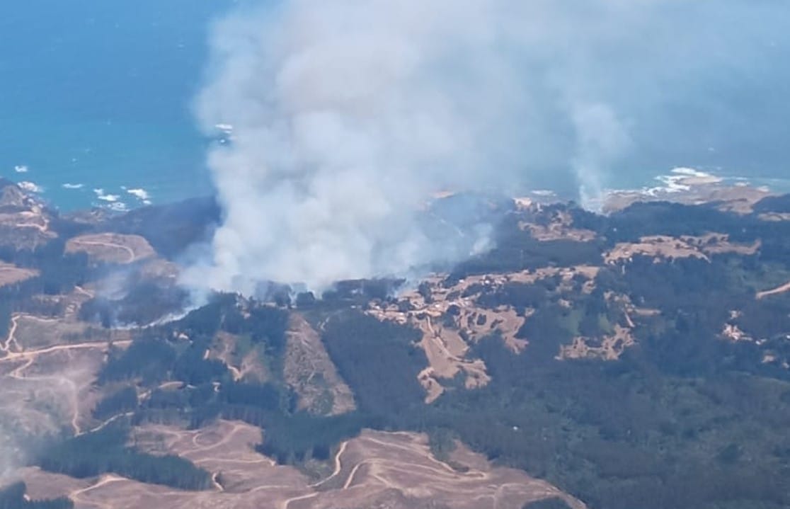 Corma denuncia problemas de seguridad en equipos que combaten incendios forestales en Arauco